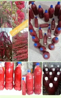 اب زرشک صددرصدطبیعی