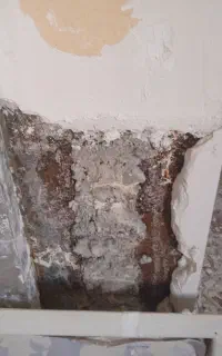 تخریب وگچکاری و سیمانکاری  %۱۰۰تضمین