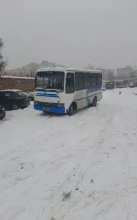 مینی بوس اویکو