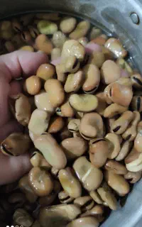 باقله رامهرمز