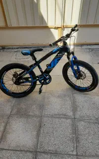 دوچرخه 20