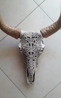 مجسمه سر گاو
