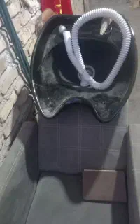 سرشور