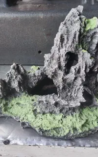 دکور آکواریوم نو