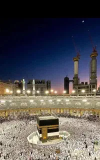 خرید و فروش فیش حج