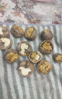 گردو