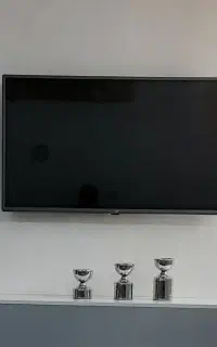 تلویزیون