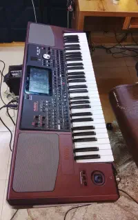 اورگ PA1000