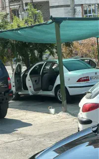 سمند ۹۱ دوگانه شرکتی