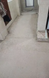 پالاز موکت