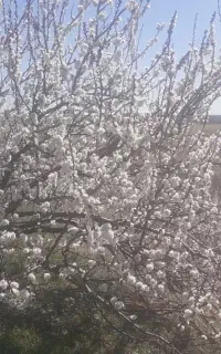 یک‌نفرخانم‌برای‌نظافتچی نیازمندیم