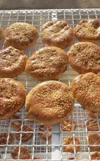 شاگرد فتیر پزی