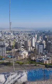 جویای کار