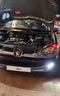 پژو ۲۰۶ جوان پسند