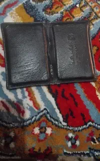 پیدا شده