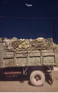 راننده خاور
