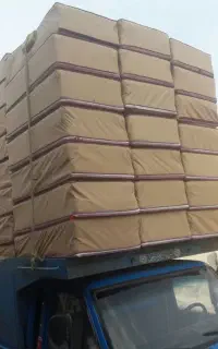 پشتی طرح کارینا طوسی