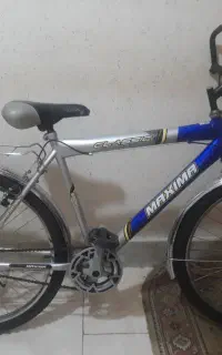 دوچرخه برند  ماکسیما تنه ۲۶ ساده