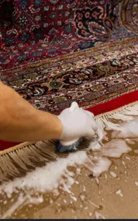 قالیشویی مبلشویی فردیس کرج مشکین دشت اندیشه مارلیک