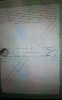 ازادی زندانی