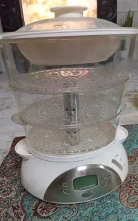بخار پز