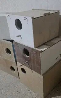 لانه پرنده