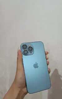 13 پرومکس