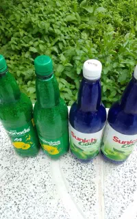 نعنا خشک