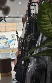 مجموعه موسیقی سل لا