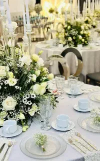 شرکت خدماتی و نظافتی پذیرایی تمیزک بامجوزرسمی