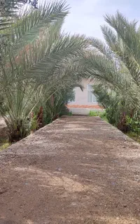 باغ منزل