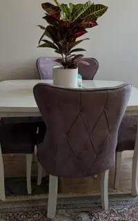 میز ناهار خوری