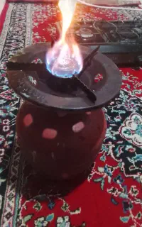 پیک نیک سالم در شهر قرق