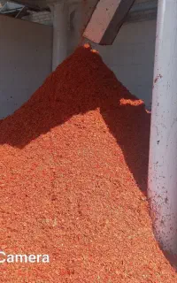 تفاله گوجه