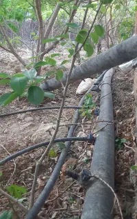 جوشکاری لوله پلی ایتلن،قطره ایی،خدمات چاه