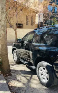 پرادو دو در txl 2013 بی رنگ