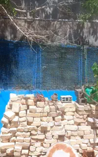 اصطبل اسب