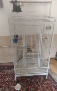 قفس کاسکو