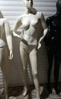 کسب و‌کار تجهیزات مغازه