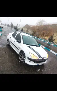 206sdلوازمی اسپرت v8