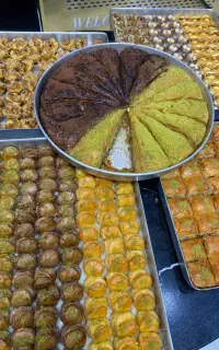 ویزیتور حرفه ای