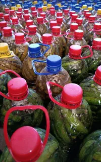 خیارشور اعلا جاده سوکهریز