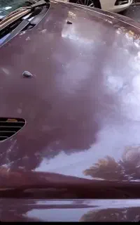 پولیش واکس خودرو قیمت پایین کیفیت کار بالا