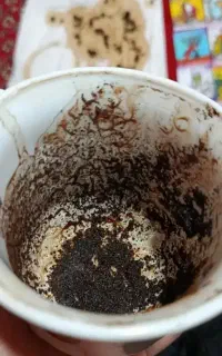 فال تخصصی تاروت و قهوه و شمع