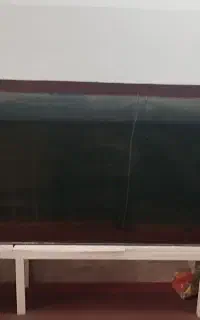 آکواریوم بزرگ