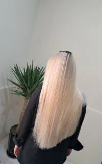 رنگ و لایت