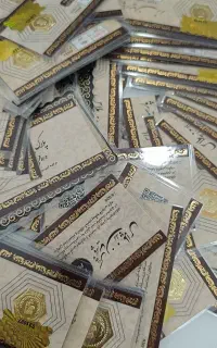 ضامن کارمندفوری