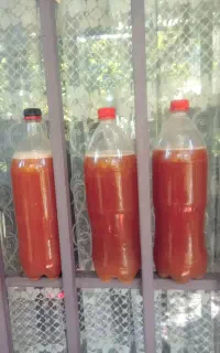 ابغوره