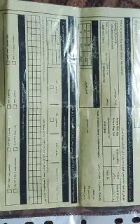 اسب یکسر