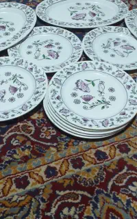 ۹عددبشقاب برنج و۳عدیس،برنج